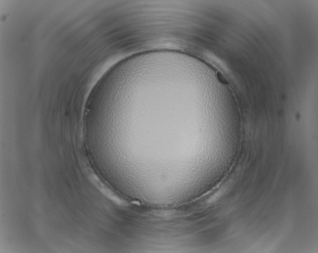 X0000067951236200604272051