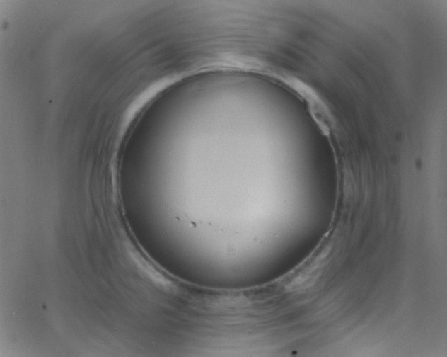 X0000067951238200604272051