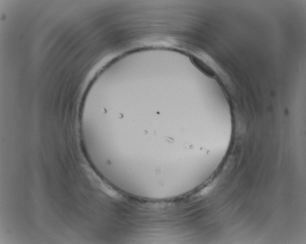 X0000067951240200604272051