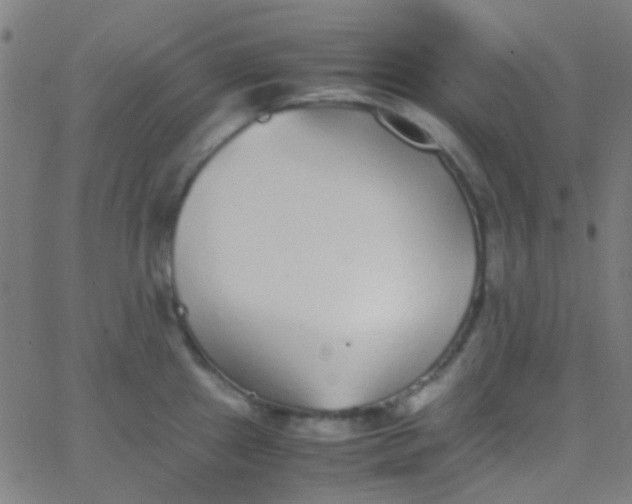 X0000067951241200604272051