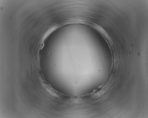 X0000067951242200604272051