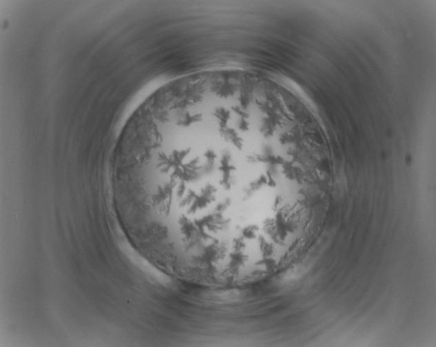 X0000067951243200604272051