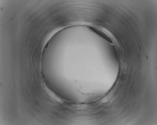 X0000067951244200604272051