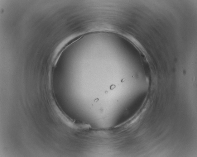 X0000067951246200604272051