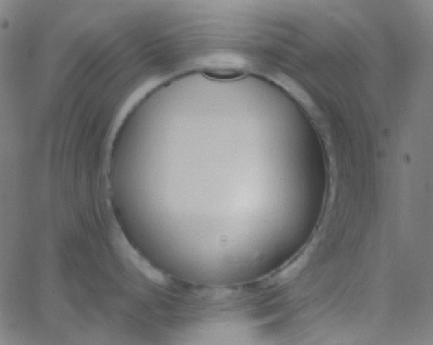 X0000067951248200604272051