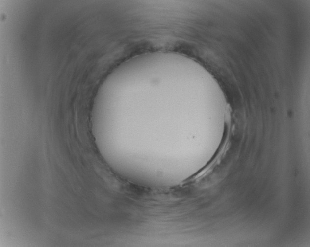 X0000067951249200604272050