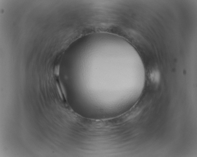 X0000067951252200604272050