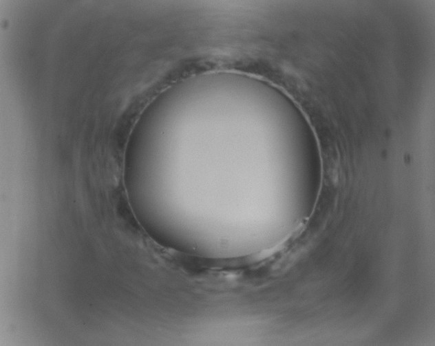 X0000067951253200604272050