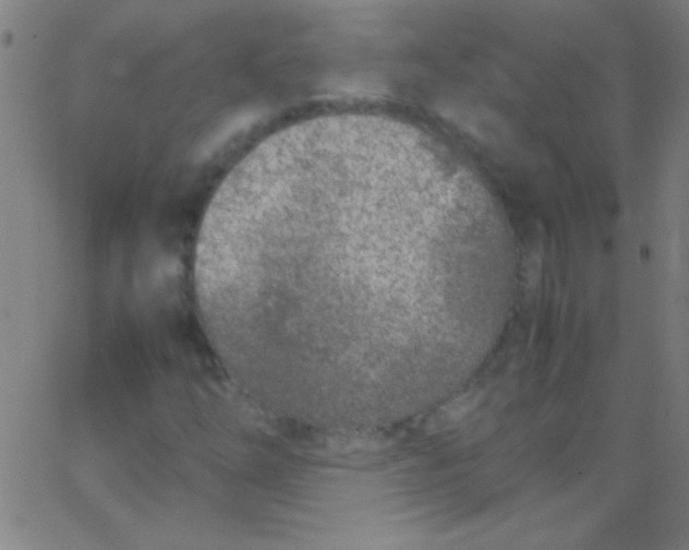 X0000067951254200604272050