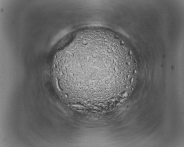 X0000067951255200604272050