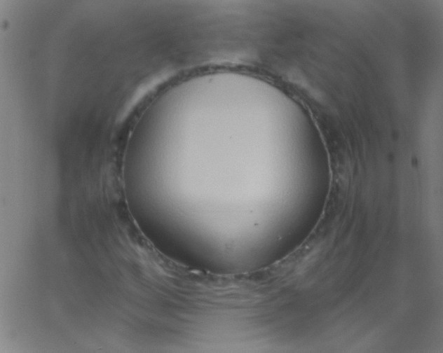 X0000067951256200604272050