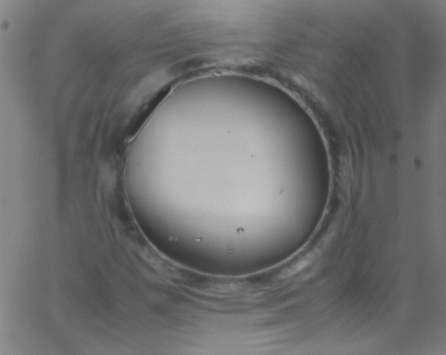 X0000067951257200604272050