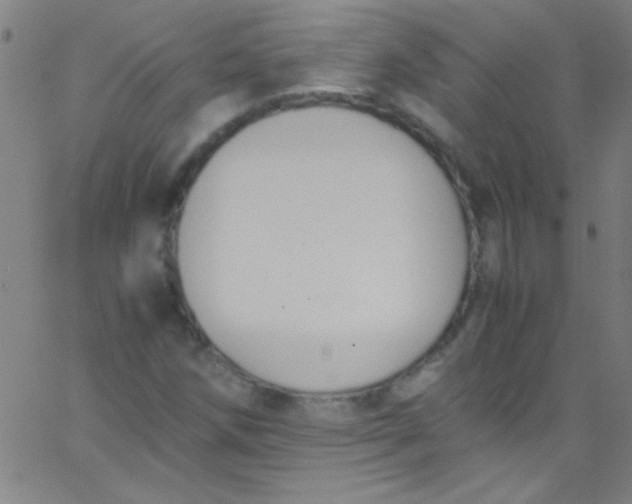 X0000067951258200604272050