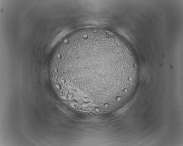 X0000067951259200604272050