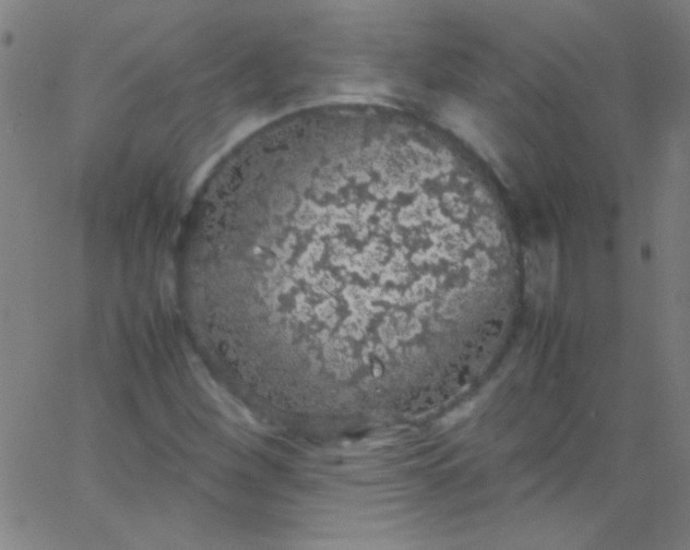 X0000067951260200604272050