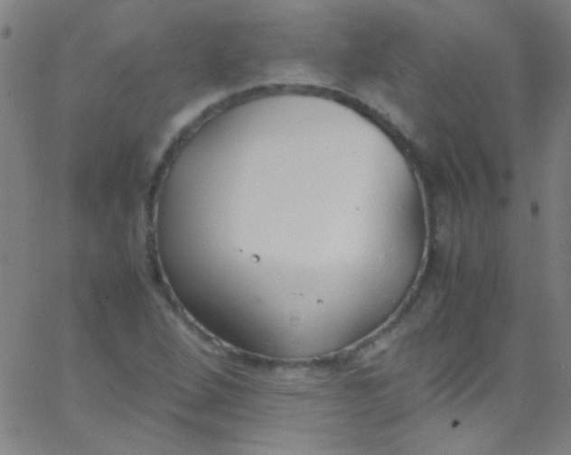 X0000067951264200604272050