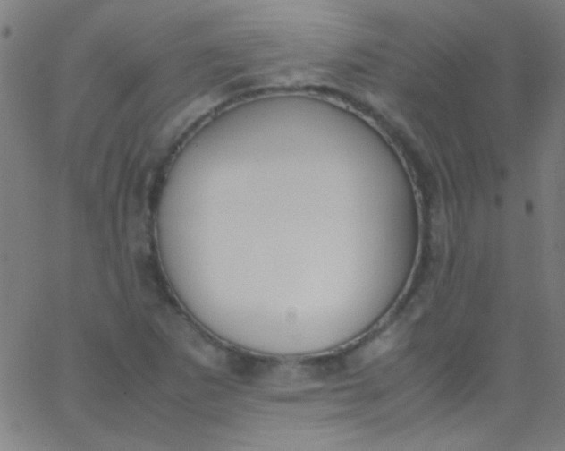 X0000067951265200604272050