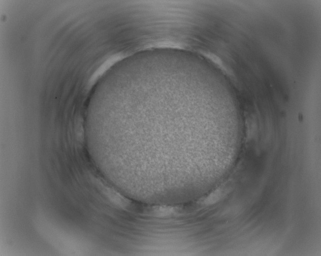 X0000067951266200604272050