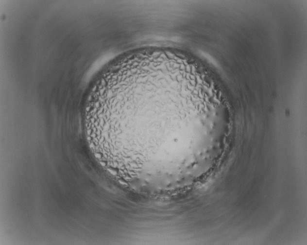 X0000067951267200604272050