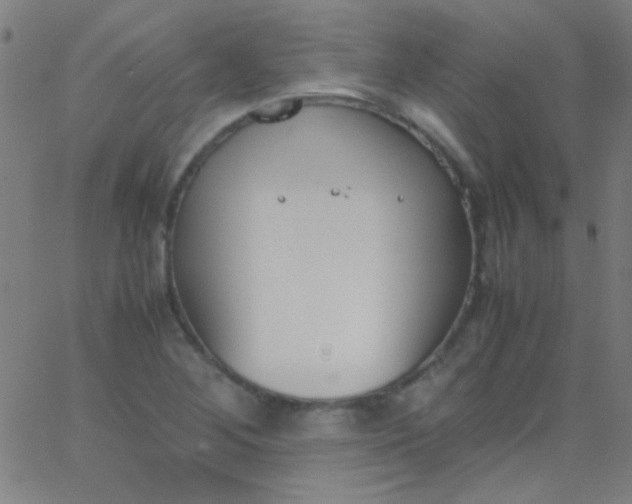 X0000067951268200604272050