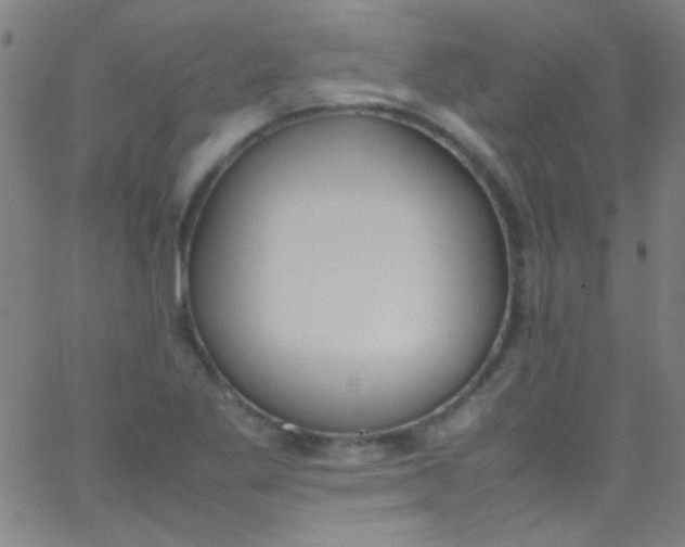 X0000067951269200604272050