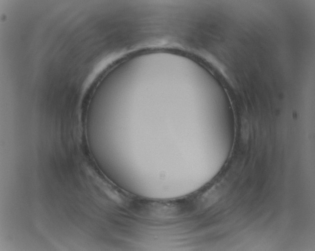 X0000067951270200604272050