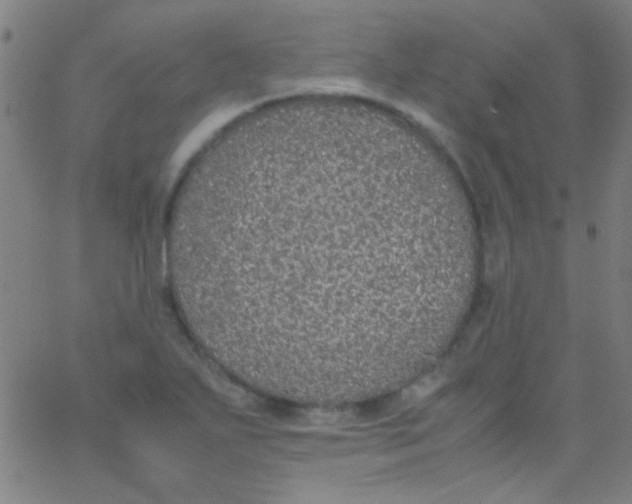 X0000067951271200604272050