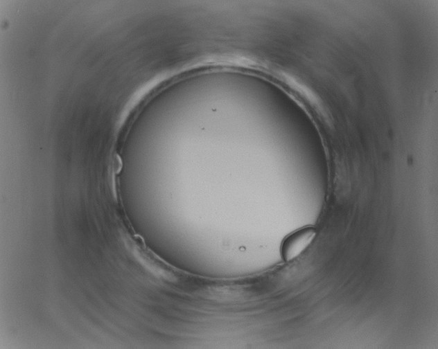 X0000067951272200604272050