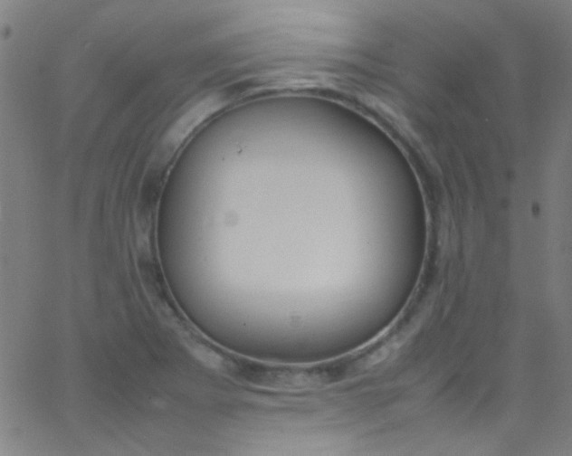 X0000067951273200604272050