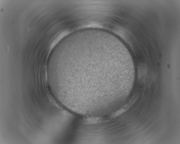 X0000067951274200604272050