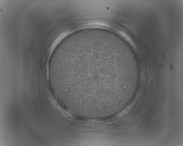 X0000067951275200604272050