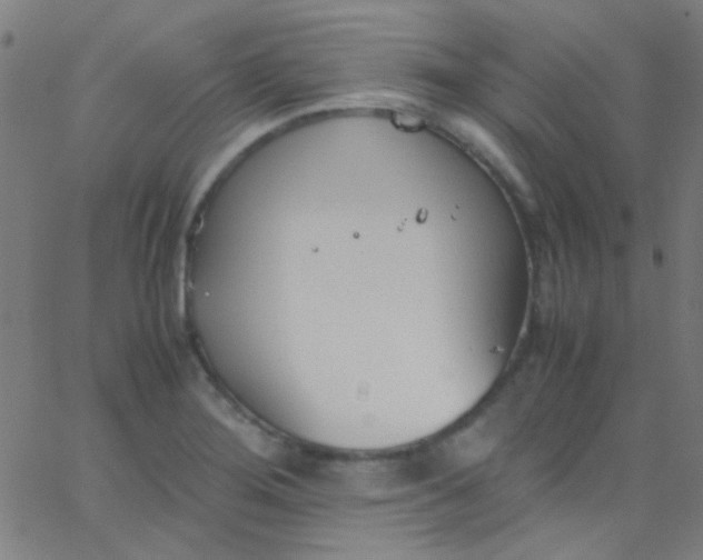 X0000067951276200604272050