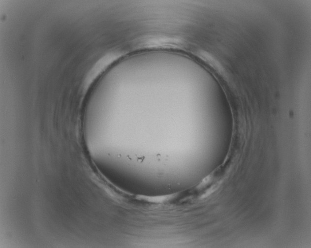 X0000067951277200604272050