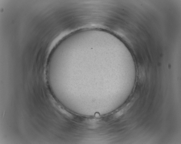 X0000067951278200604272050