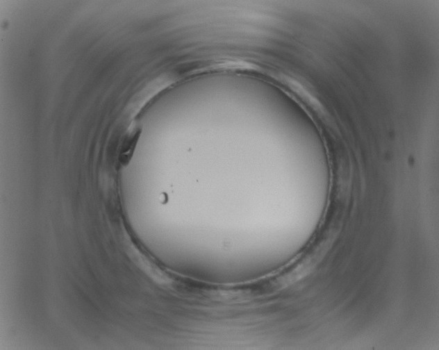 X0000067951281200604272050