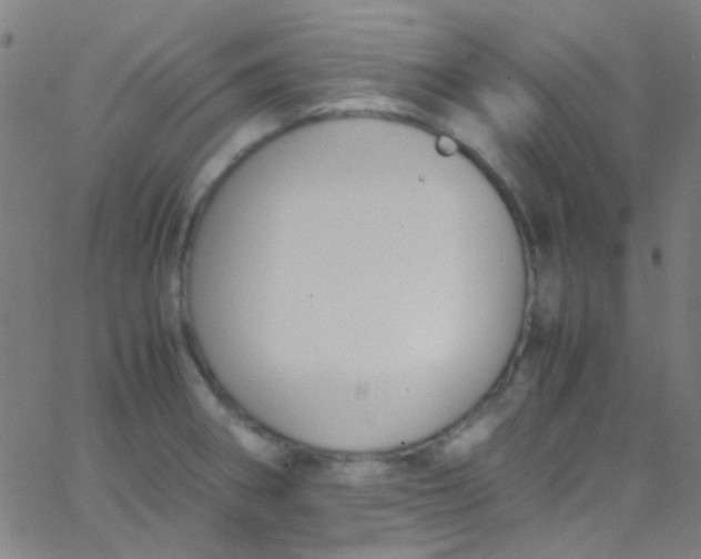 X0000067951282200604272050