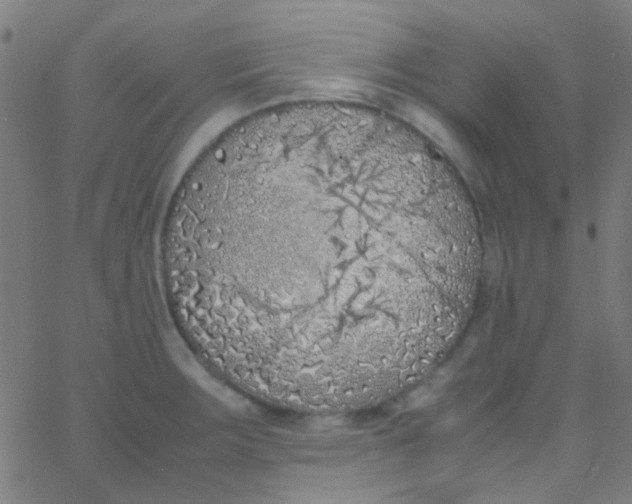 X0000067951283200604272050