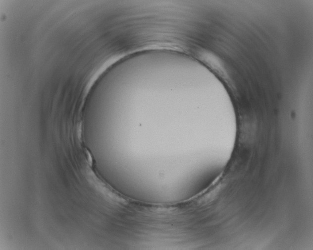 X0000067951284200604272050