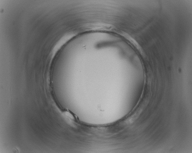 X0000067951285200604272050