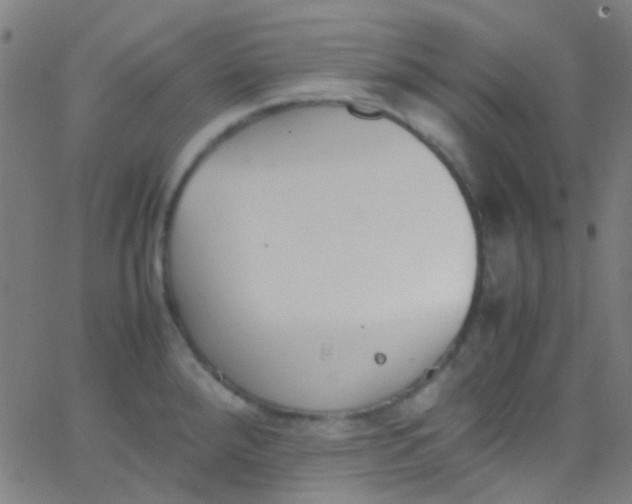 X0000067951288200604272050