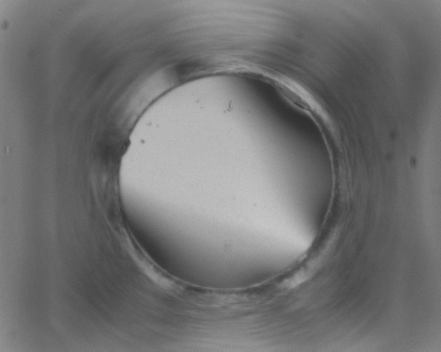 X0000067951289200604272050