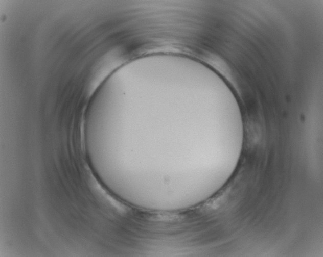 X0000067951290200604272050