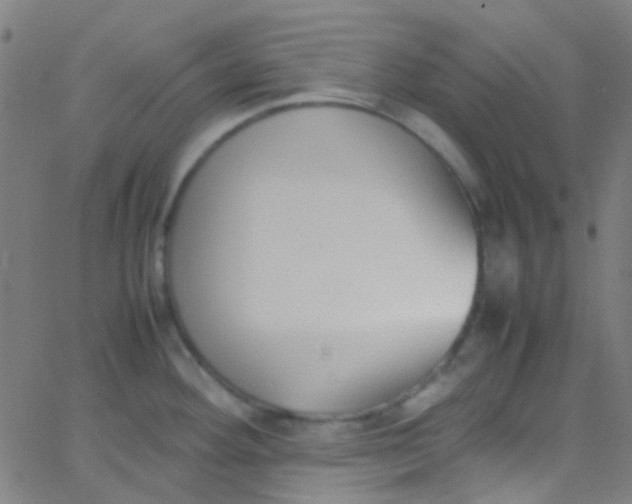 X0000067951292200604272050