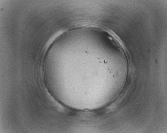 X0000067951293200604272050