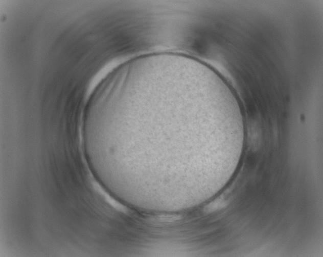 X0000067951294200604272050