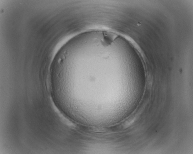 X0000067951295200604272050