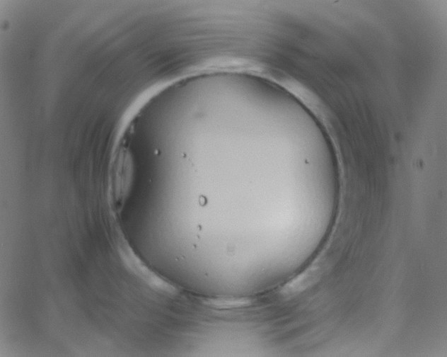 X0000067951296200604272050