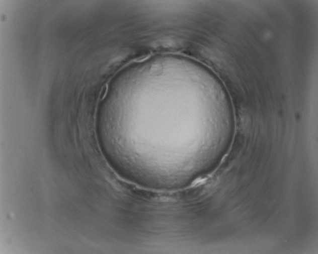 X0000067951297200604272049