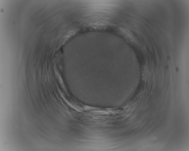 X0000067951298200604272049