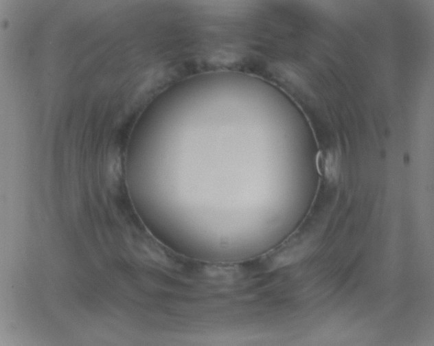 X0000067951299200604272049